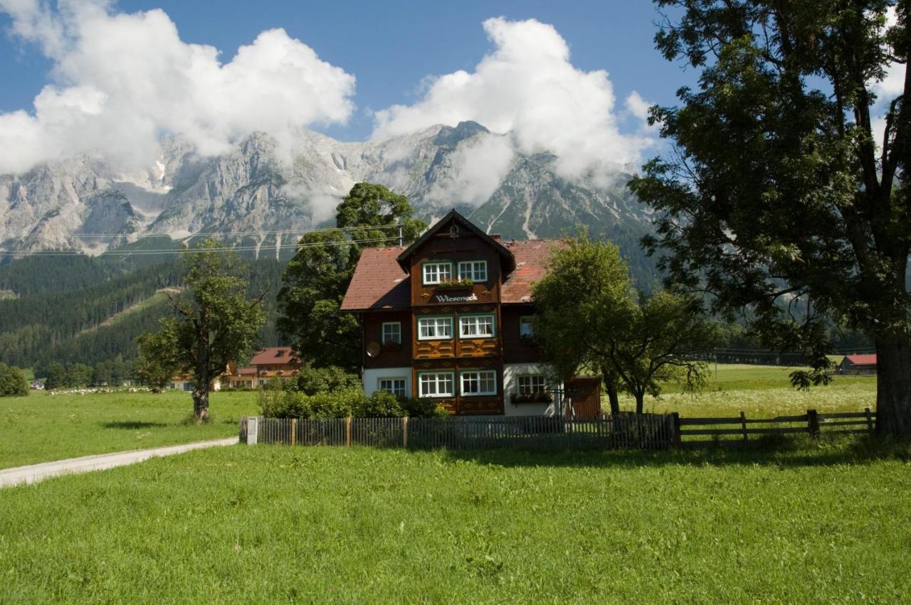 Appartements Wieseneck - Ramsau Am Dachstein - Inklusive Sommercard ! Ramsau am Dachstein Exterior photo