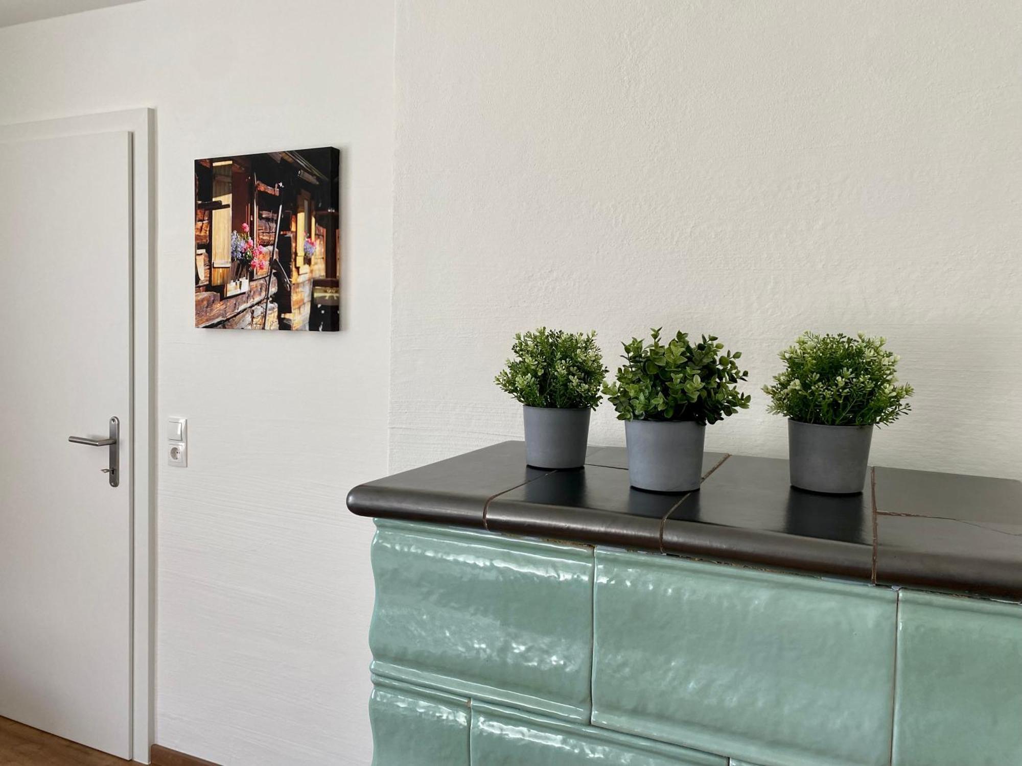 Appartements Wieseneck - Ramsau Am Dachstein - Inklusive Sommercard ! Ramsau am Dachstein Exterior photo
