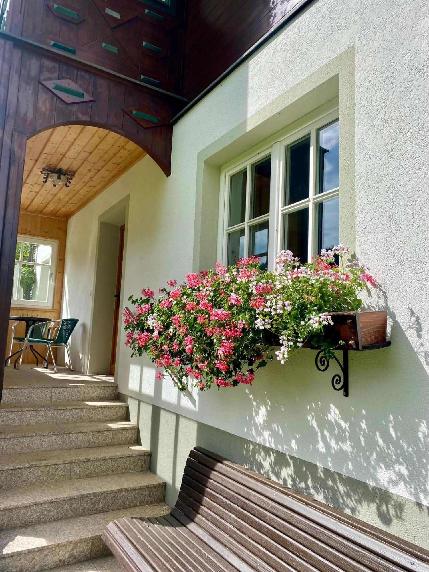 Appartements Wieseneck - Ramsau Am Dachstein - Inklusive Sommercard ! Ramsau am Dachstein Exterior photo